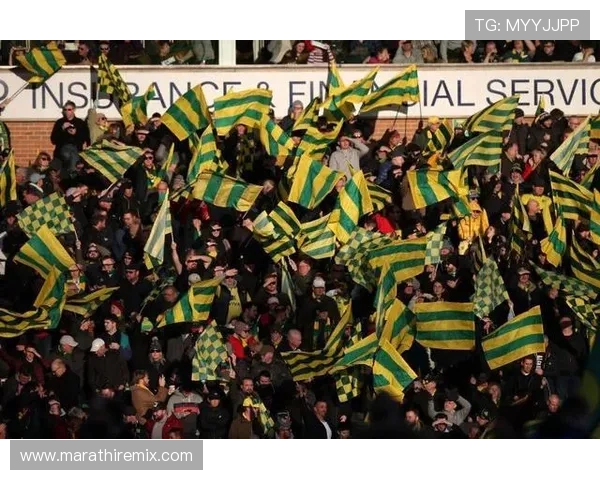 诺维奇降级后获英超转播分成补偿机制解析